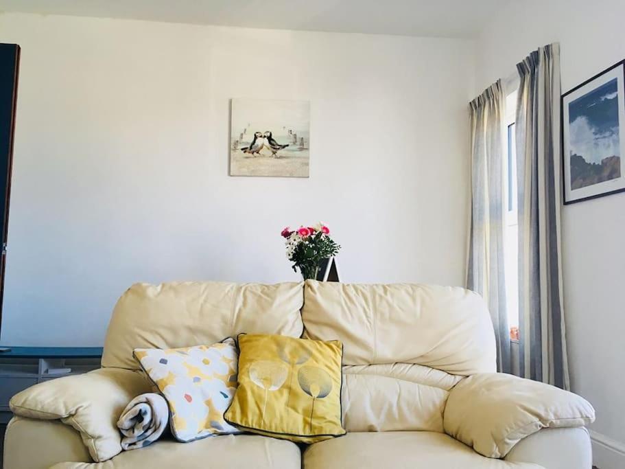Hillcrest Cottage, Comfy Flat, Trendy Uplands Area Swansea Extérieur photo
