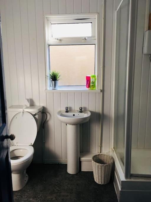 Hillcrest Cottage, Comfy Flat, Trendy Uplands Area Swansea Extérieur photo
